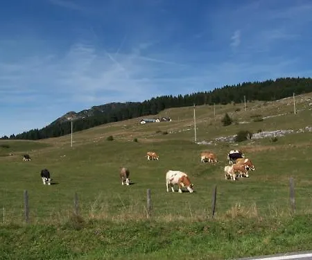 Tana Della Volpe Apartahotel Lavarone