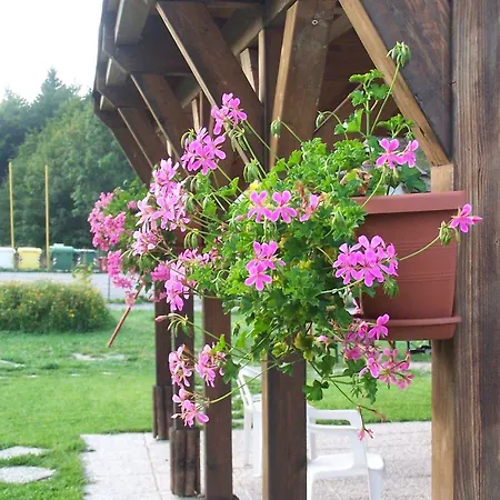 Apart Otel Tana Della Volpe 3*